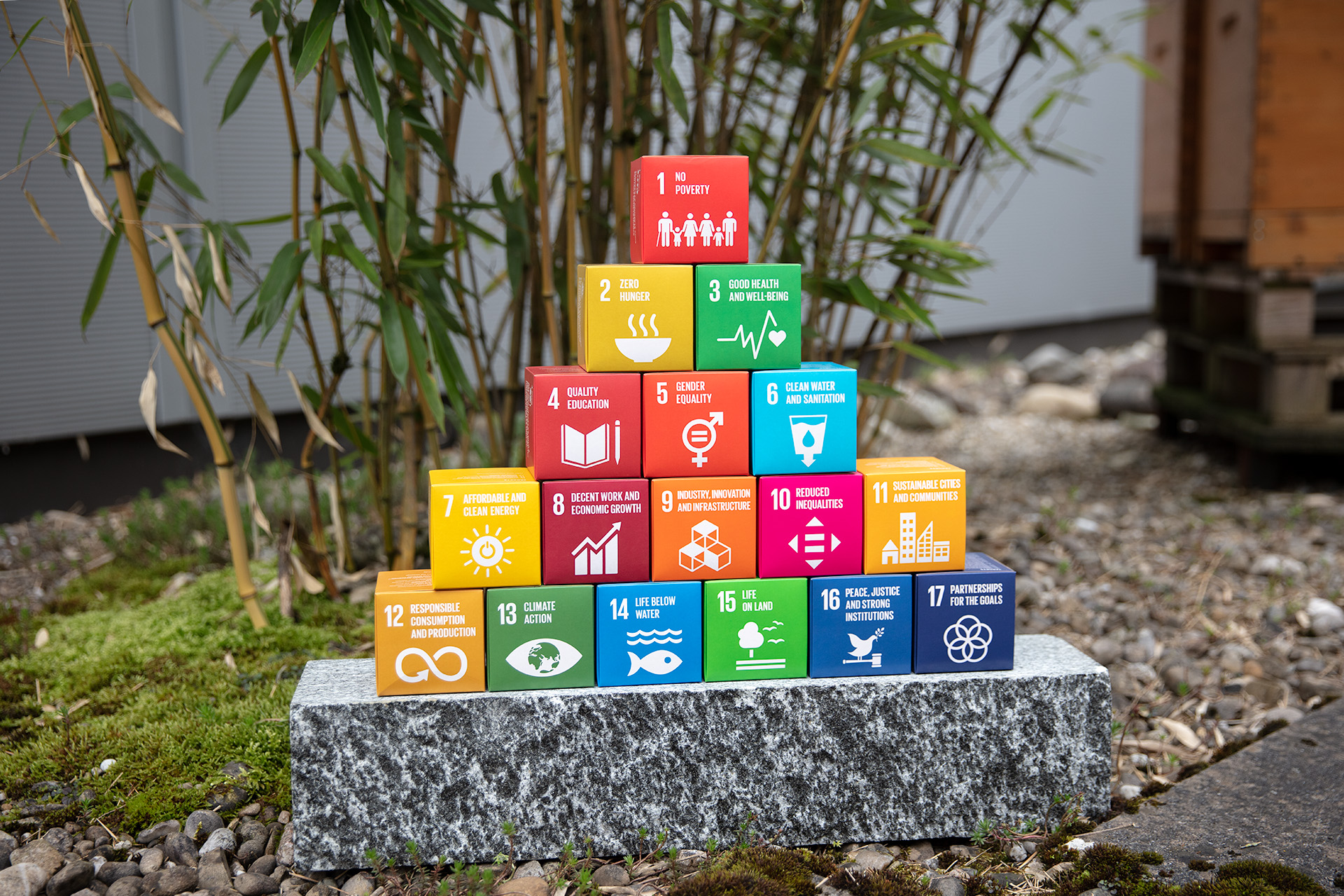 17 bunte SDG Würfel draussen fotografiert
